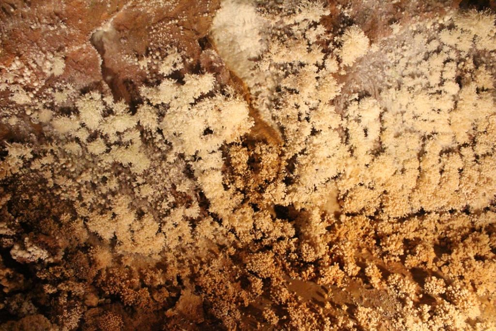 grotta di Santa Lucia alle grotte di Toirano